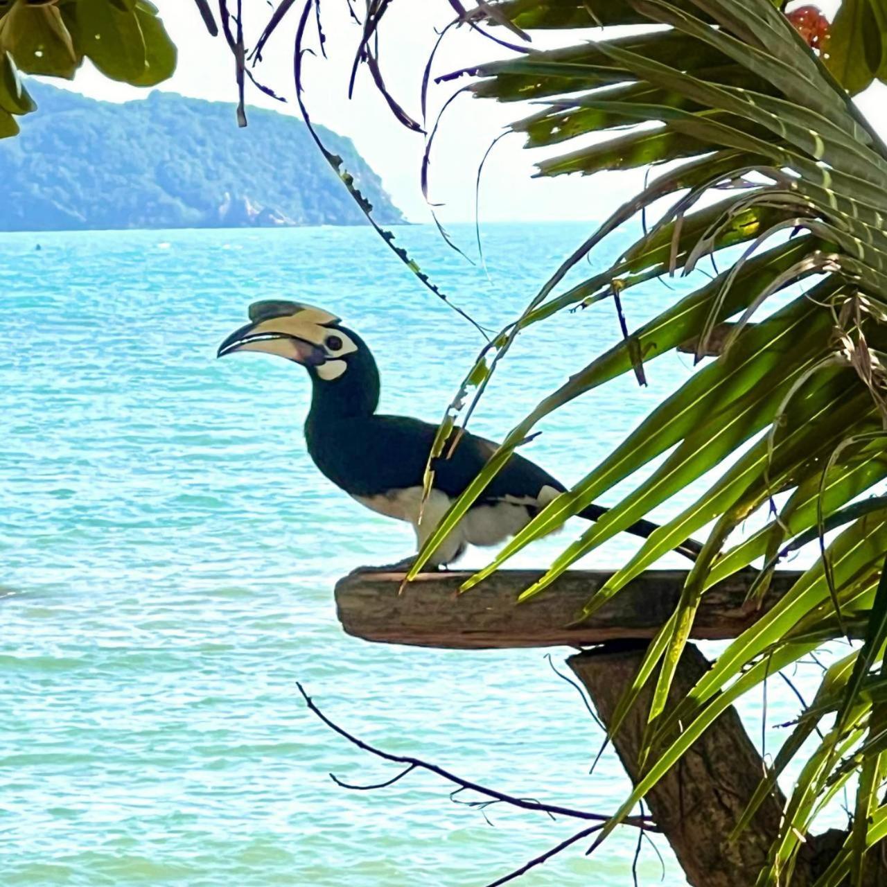 Koh Phaluai Beach Bangalow Ban Ko Nok Taphao Eksteriør bilde